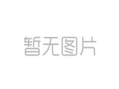 記團建活動有感500字